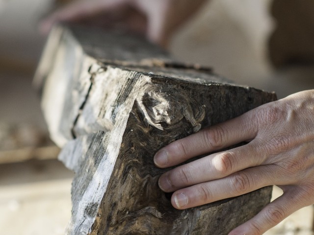 Lies ein Stück Holz - Schnitzexerzitien