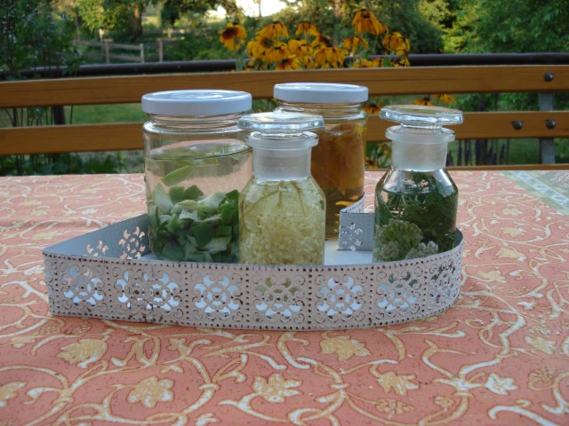 Heilsames aus Kräutern, Honig und Bienenwachs - Workshop