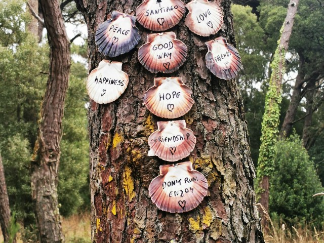 Persönliche Pilgererfahrungen am Portugiesischen Jakobsweg