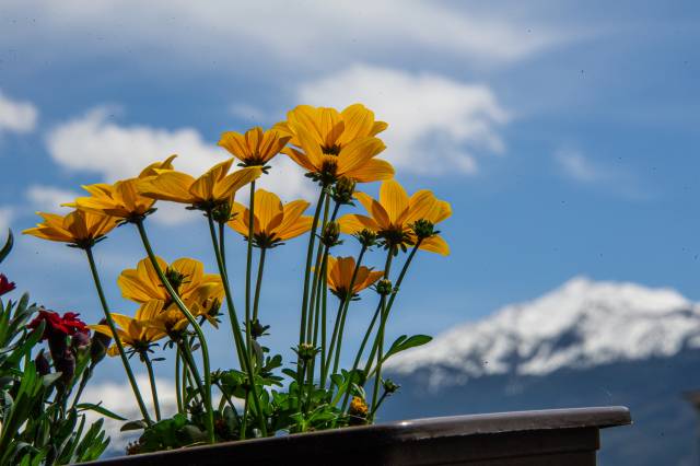 Ein Jahr Corona: Chatberatung der Telefonseelsorge bietet rasche Hilfe