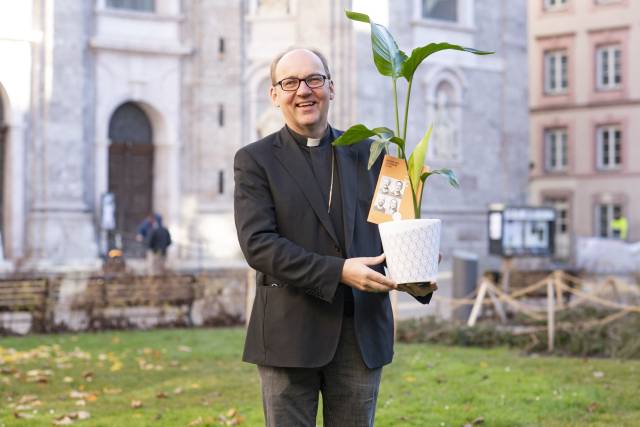 Mischkulturen für die Ernährung von Kindern