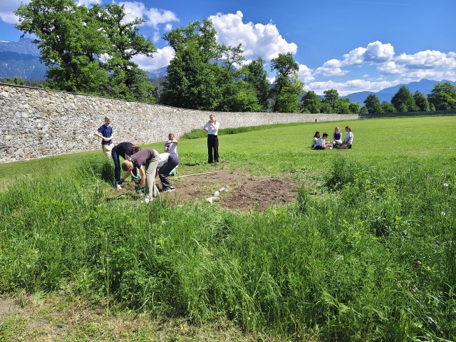 Schulgarten als blühendes Klassenzimmer im Meinhardinum