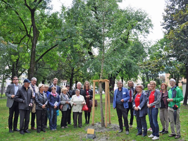 Symbol für ein demenzfreundliches Innsbruck