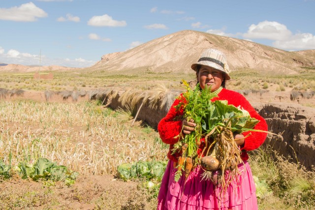 Tiroler Bevölkerung hilft Bergbauernfamilien in Bolivien 