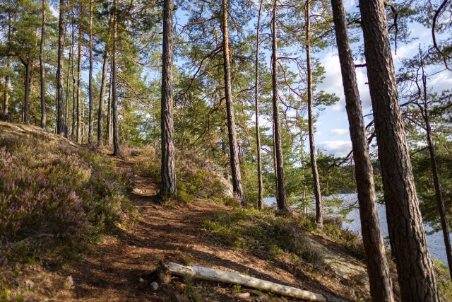 Mein Leben neu ausrichten