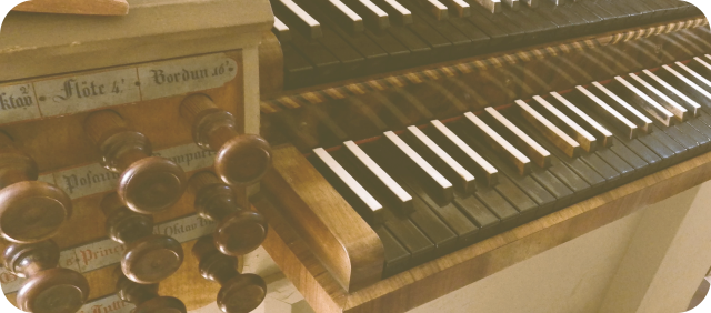 Orgellandschaft entdecken