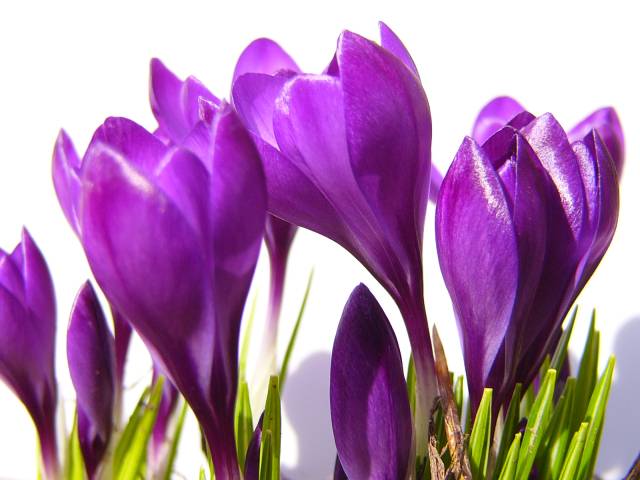 Frühlingsspaziergang als Emmausweg