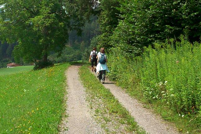 Trauerwege gemeinsam gehen